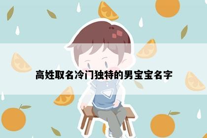 高姓取名冷门独特的男宝宝名字
