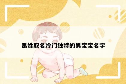 禹姓取名冷门独特的男宝宝名字