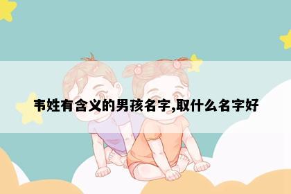韦姓有含义的男孩名字,取什么名字好