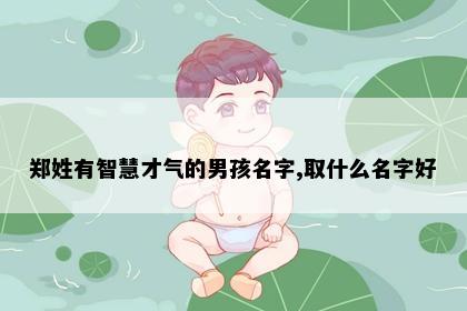 郑姓有智慧才气的男孩名字,取什么名字好